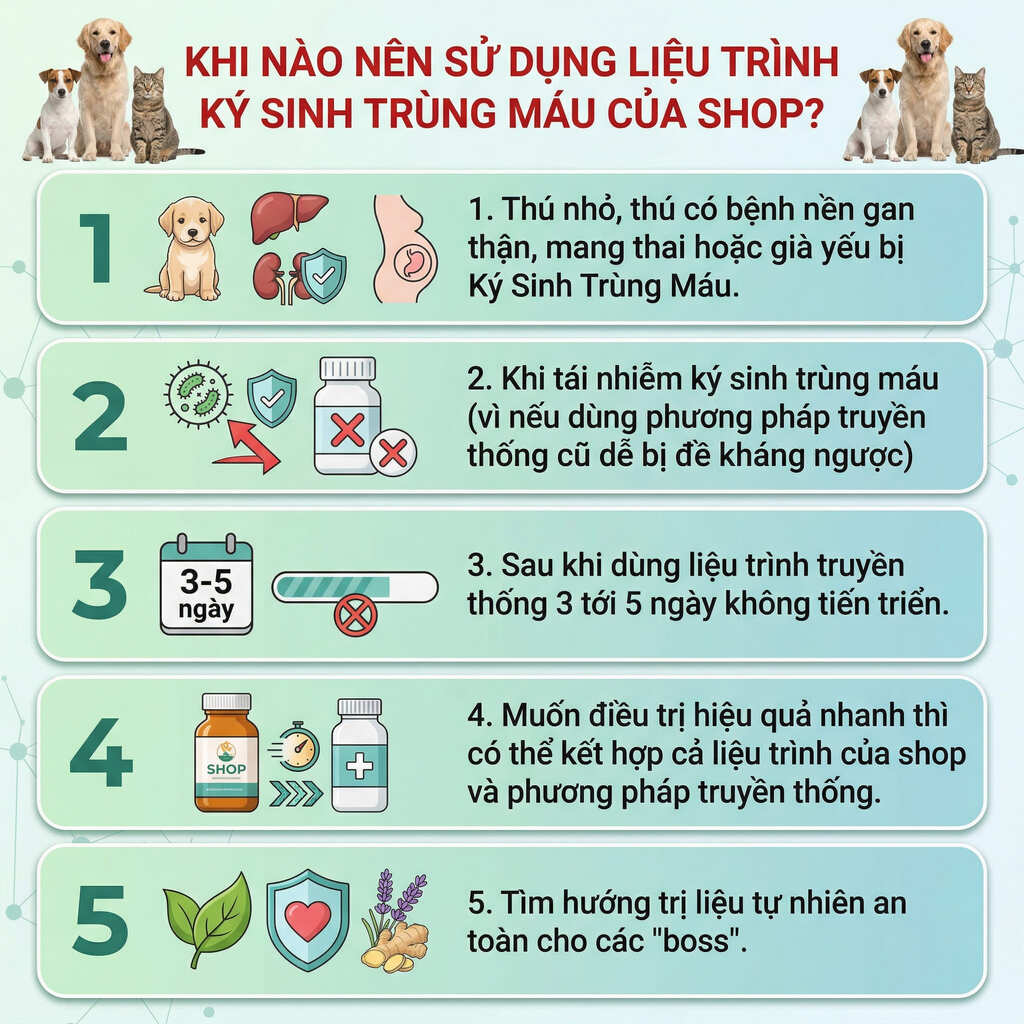 vi-sao-nen-chon-lua-san-pham-dieu-tri-ky-sinh-trung-mau-cho-meo Vi sao nen chon lua san pham dieu tri ky sinh trung mau cho meo